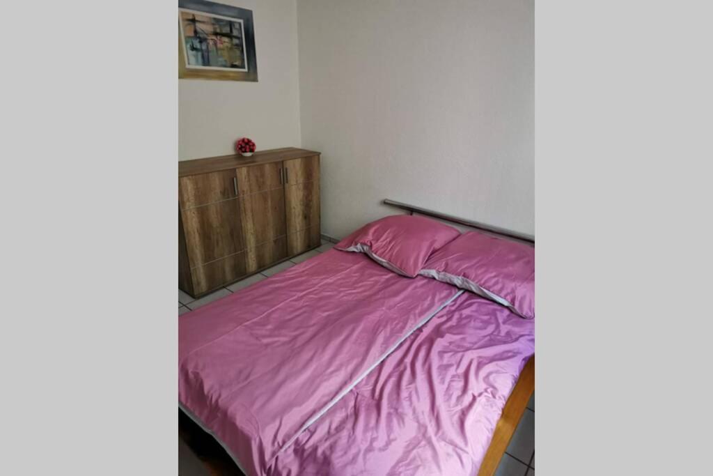 Ferienwohnung In Singen Am Hohentwiel - Seenah Eksteriør bilde