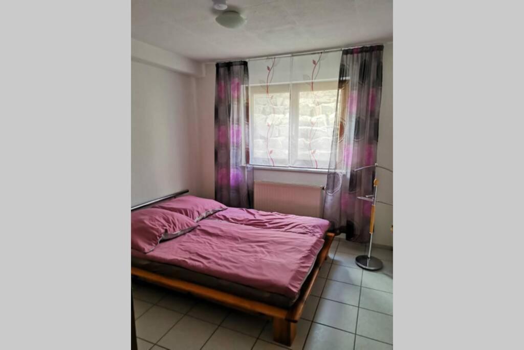 Ferienwohnung In Singen Am Hohentwiel - Seenah Eksteriør bilde